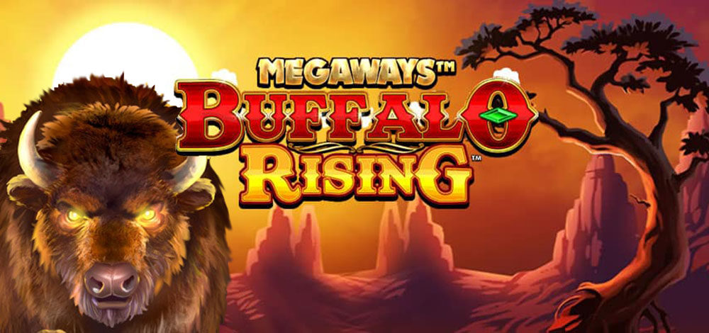 Buffalo Rising Megaways