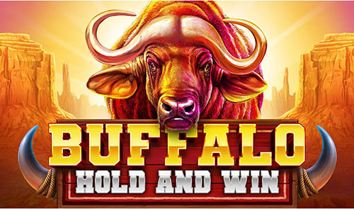 Buffalo Hold And Win