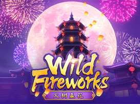 Wild Fireworks